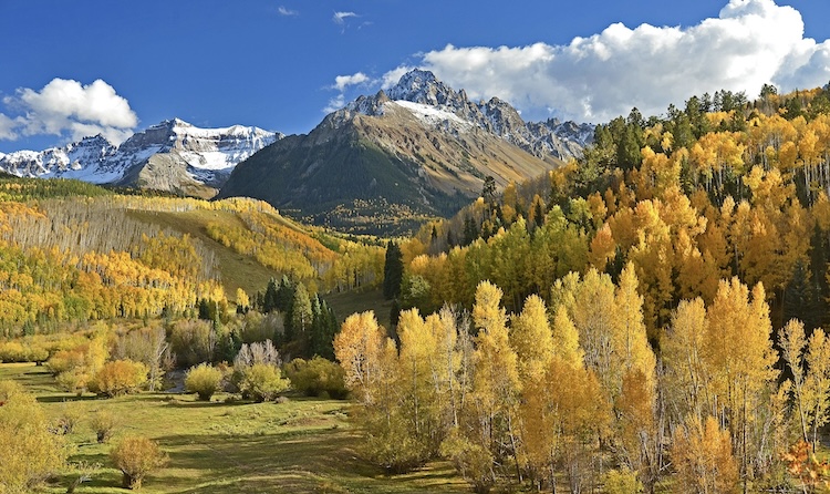 Golden aspen trees and evergreens beneath snow-capped peaks in the Colorado Rocky Mountains in fall